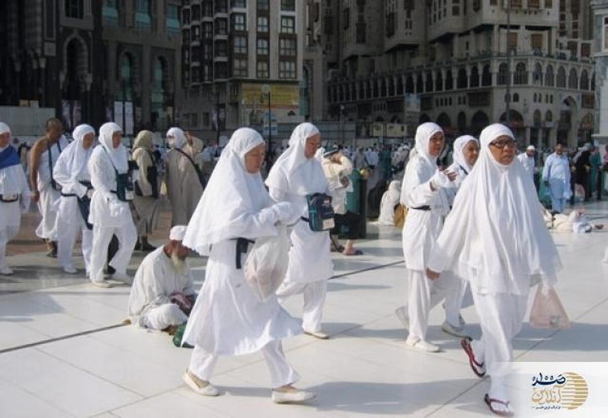 پاسخ آیت‌الله شبیری زنجانی درباره طواف بانوان و برخورد با نامحرم