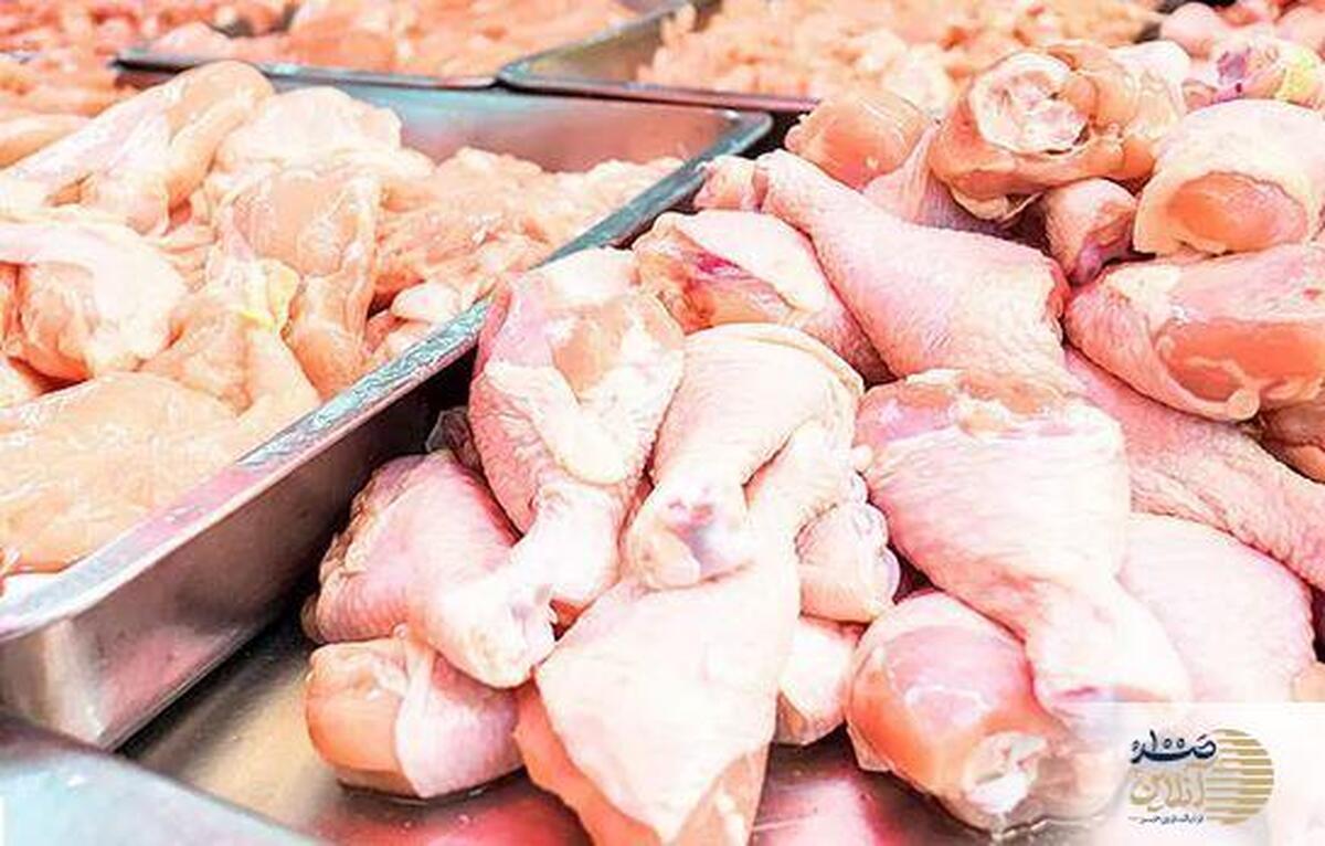 قیمت مرغ سر به فلک کشید