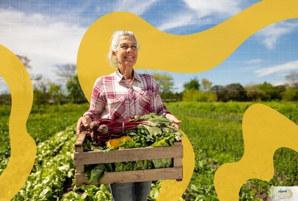 با مصرف این سبزی پرطرفدار بیشتر عمر می کنید