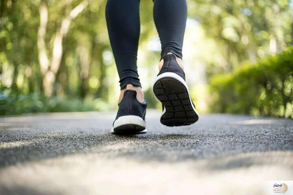 برای از بین رفتن چربی‌ ها بدن صبح ها به پیاده‌روی برویم یا عصر؟