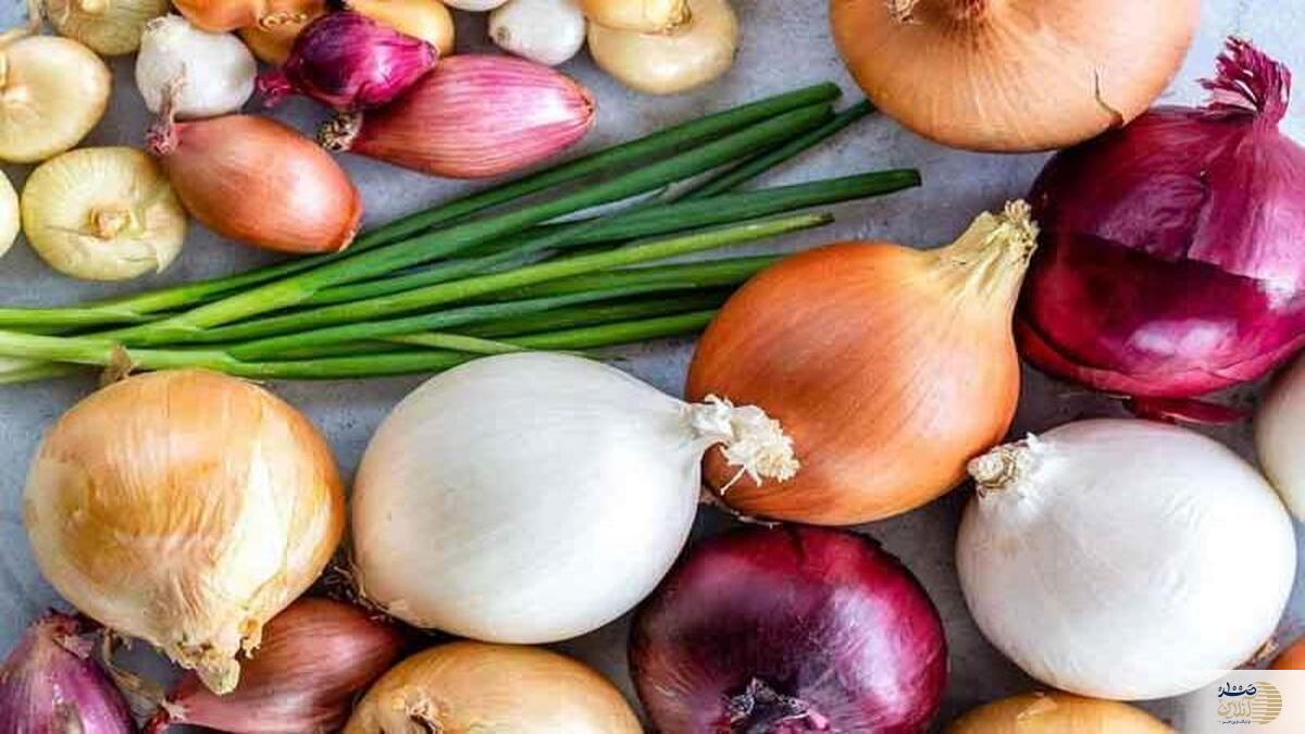 از عفونت گوش تان خسته شده اید این ویدیو را ببینید