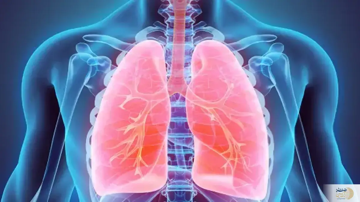 با این خوردنیها ریه های شما تمیز می شود