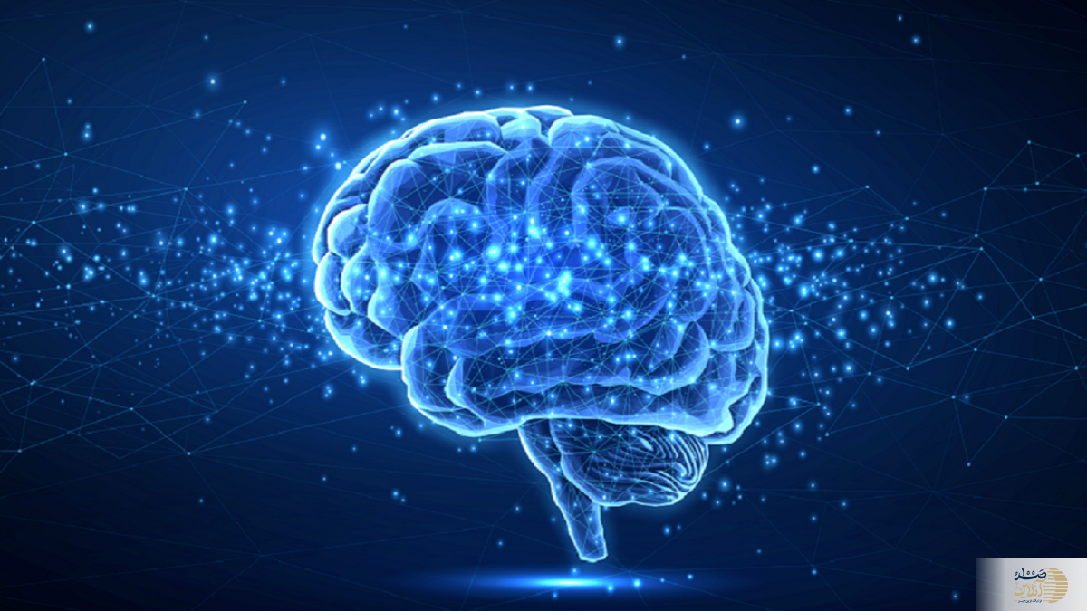 این غذاهای دوست داشتنی مغز شما را از بین می برد