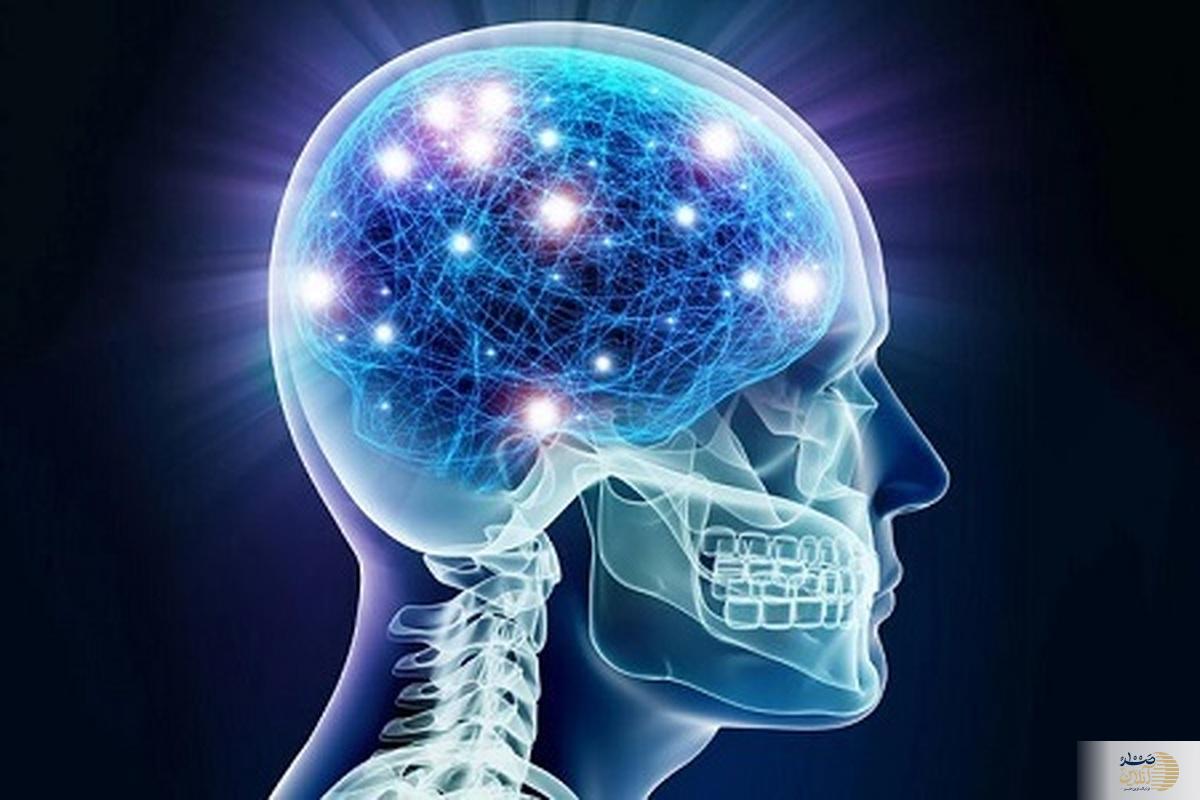 با این روش های ساده هوش خود را تقویت کنید