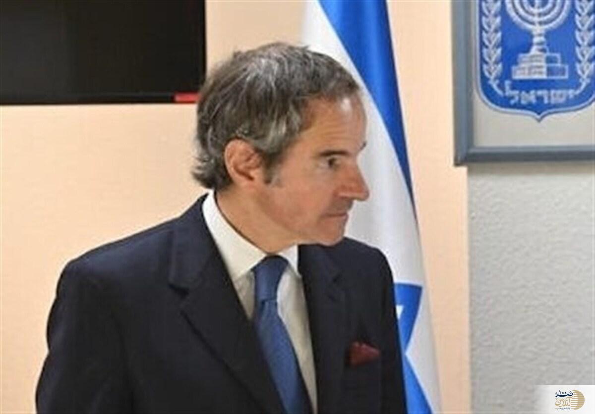 گروسی از برگشت آلمان به انرژی هسته‌ای خبر داد