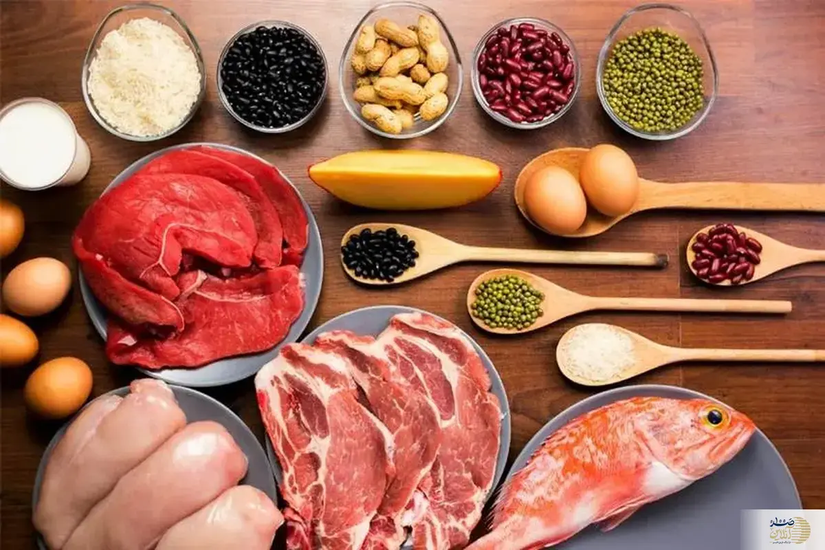 هر انسان روزانه به چه مقدار پروتئین نیاز دارد؟