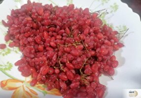 یاقوت سرخ طبیعت بر سر سفره‌ها؛ زمان اوج لذت از زرشک تازه فرا رسید