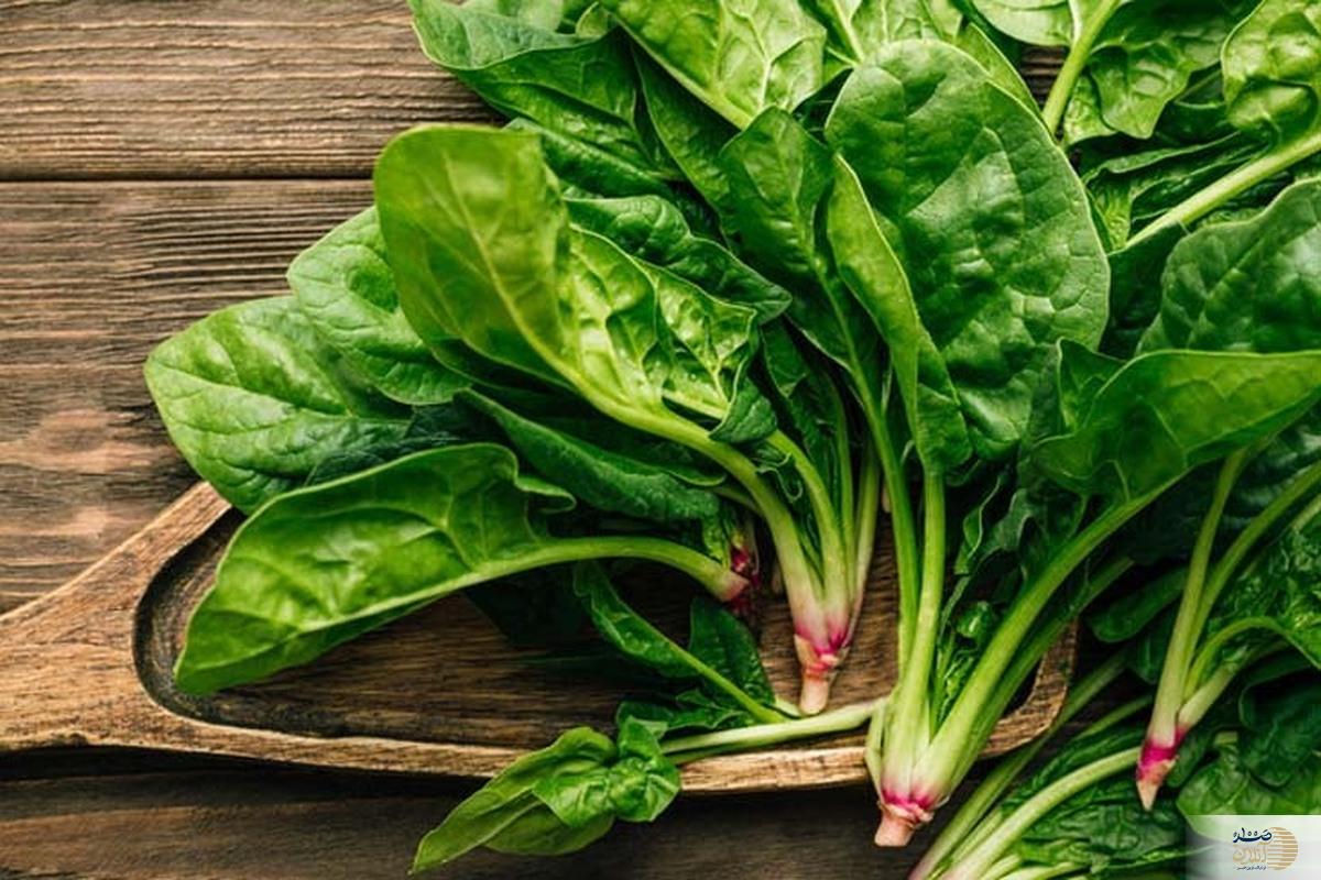 اسفناج نخورها بخوانند