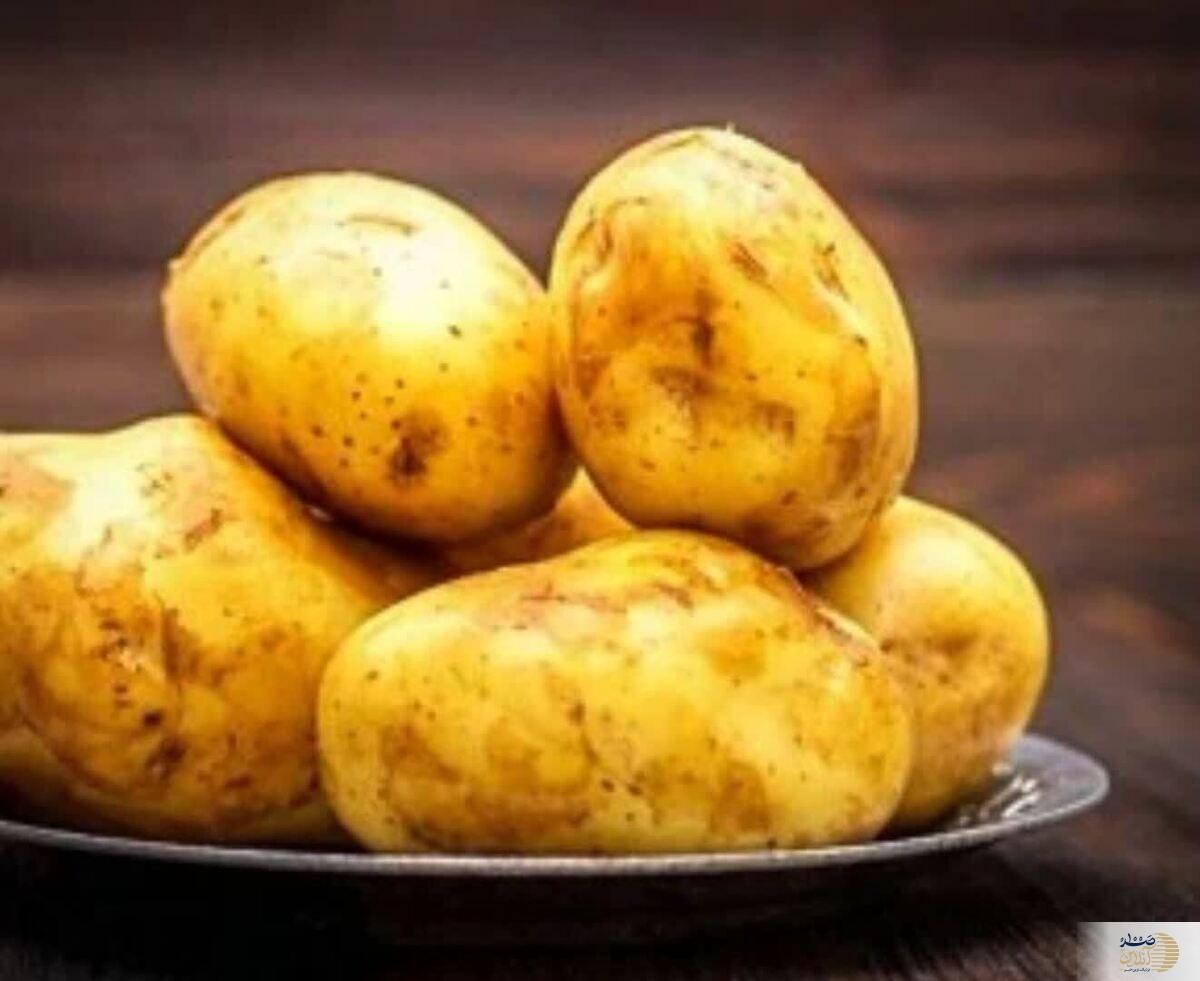 استخوان فولادی می خواهید سیب زمینی بیشتر بخورید