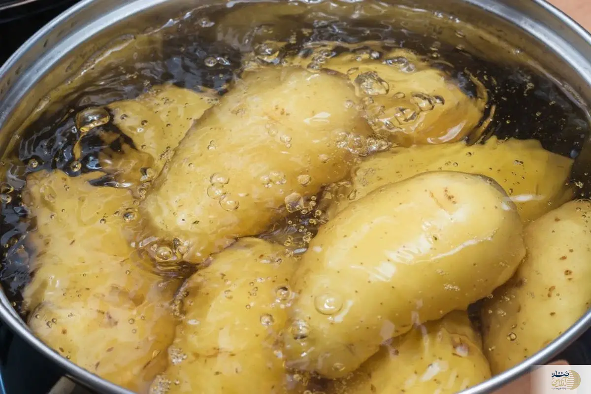 استخوان فولادی می خواهید سیب زمینی بیشتر بخورید استخوان فولادی می خواهید سیب زمینی بیشتر بخورید