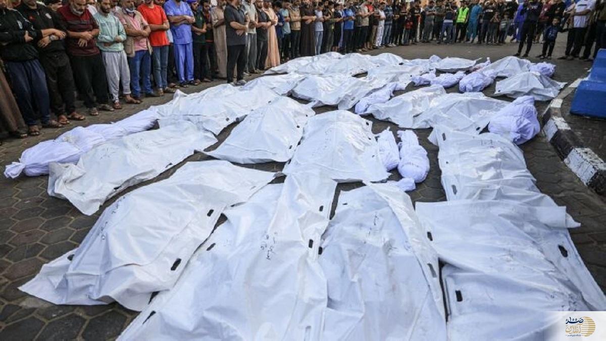 جراح فلسطینی انگلیسی تایید کرد  سرقت اعضای بدن از پیکر فلسطینی ها