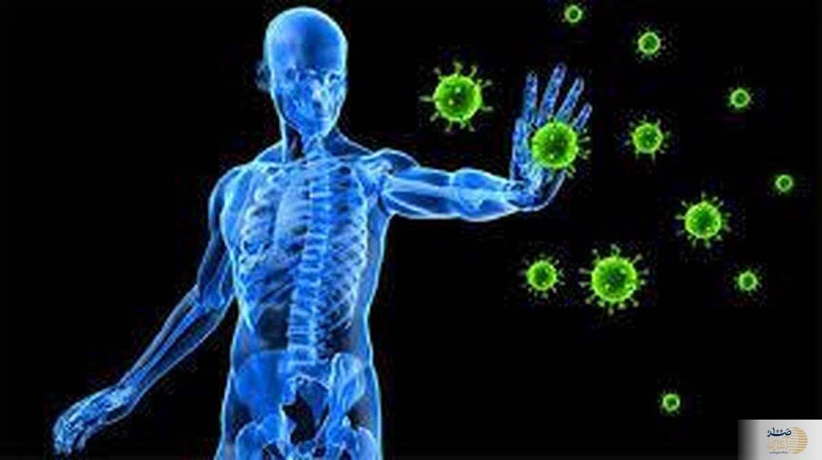 سیستم ایمنی بدن را چگونه تقویت کنیم؟