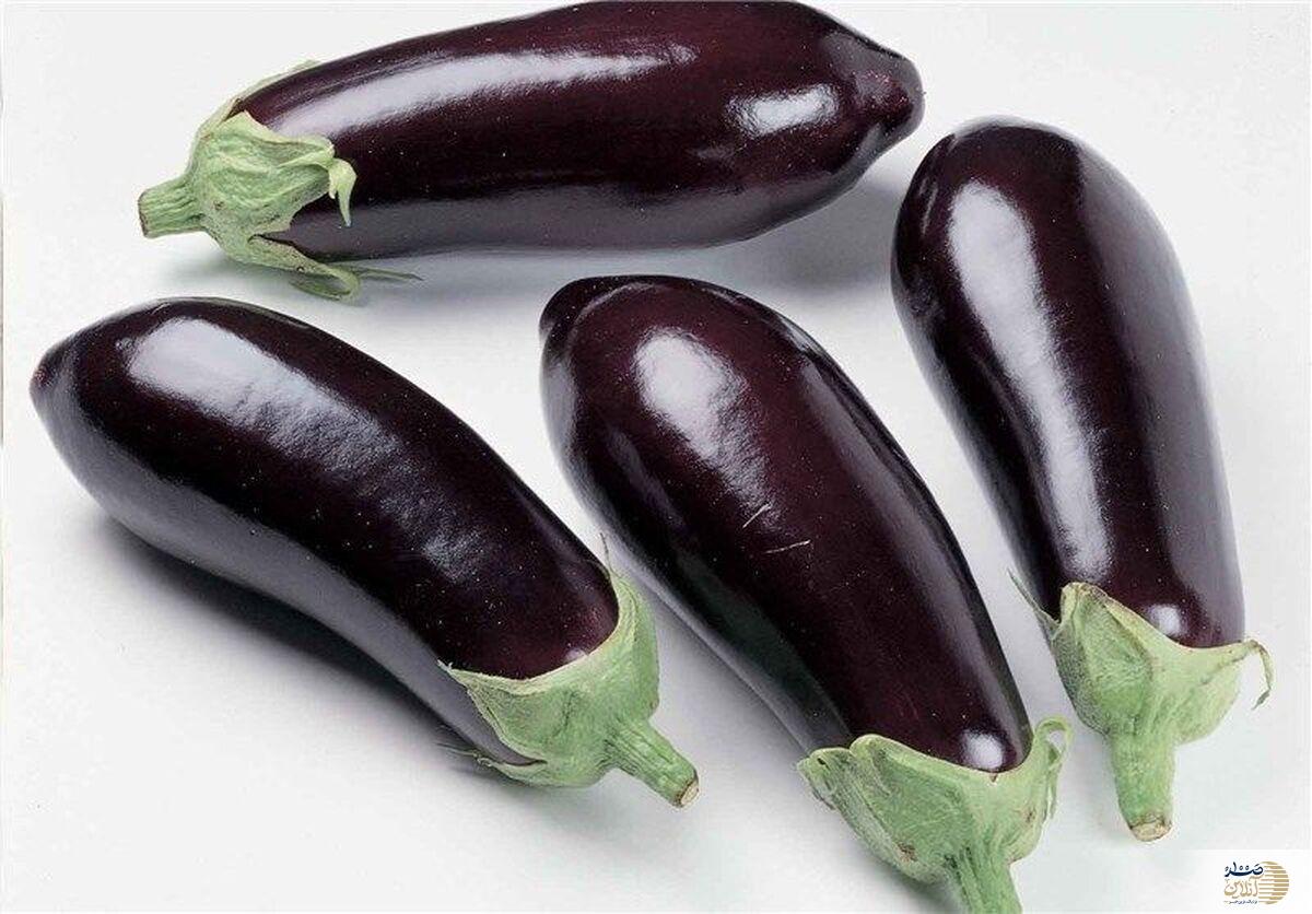 با بادمجان به جنگ سرطان بروید