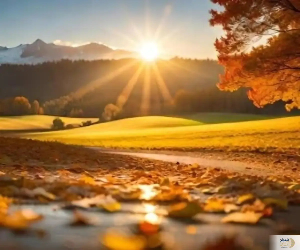 خواص آفتاب پاییزی که از آن غافل هستید
