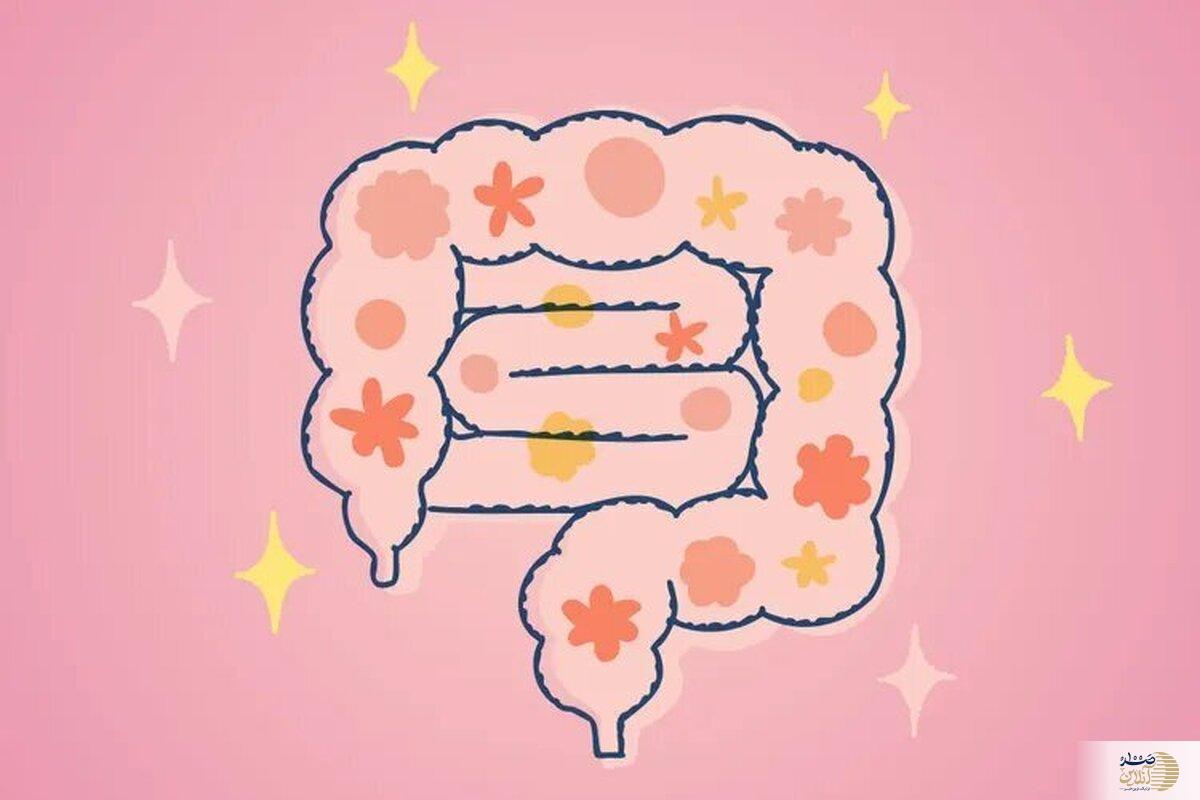 اگر ذهن آرام می خواهید به فکر روده هایتان باشید