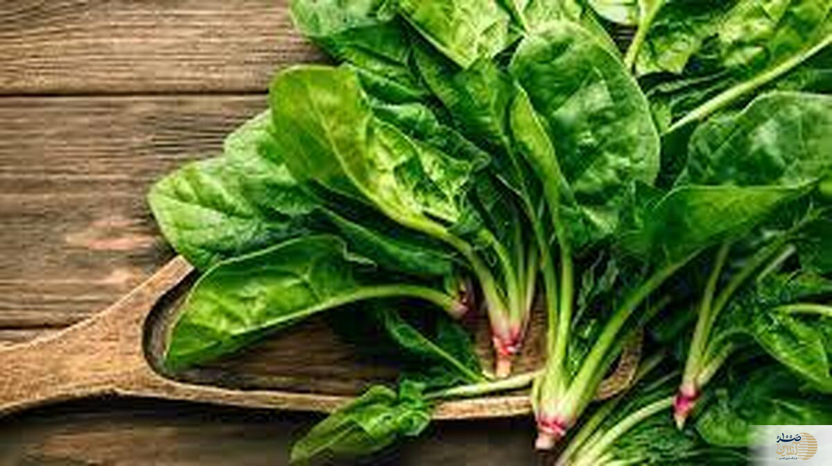 هشدار جدی  به این دلیل غذاهای حاوی اسفناج را دوباره گرم نکنید!