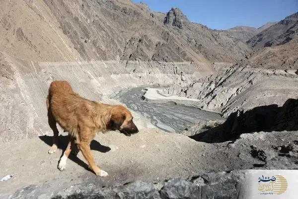 ببینید/ بحران بی‌سابقه آب در ایران از نگاه رسانه‌های خارجی/ واقعیتی که همه باید بدانند!