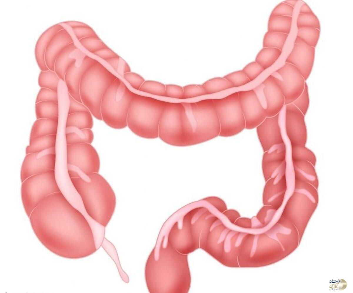 با رعایت این موارد روده شما فول انرژی می شود
