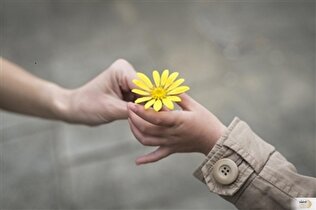 ببخش تا بخشیده شوی/ وعده روشن قرآن به اهل گذشت