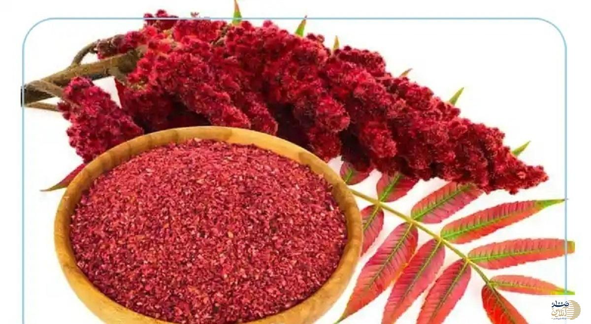 سماق، نگین سرخ مقوی قلب و محافظ مغز