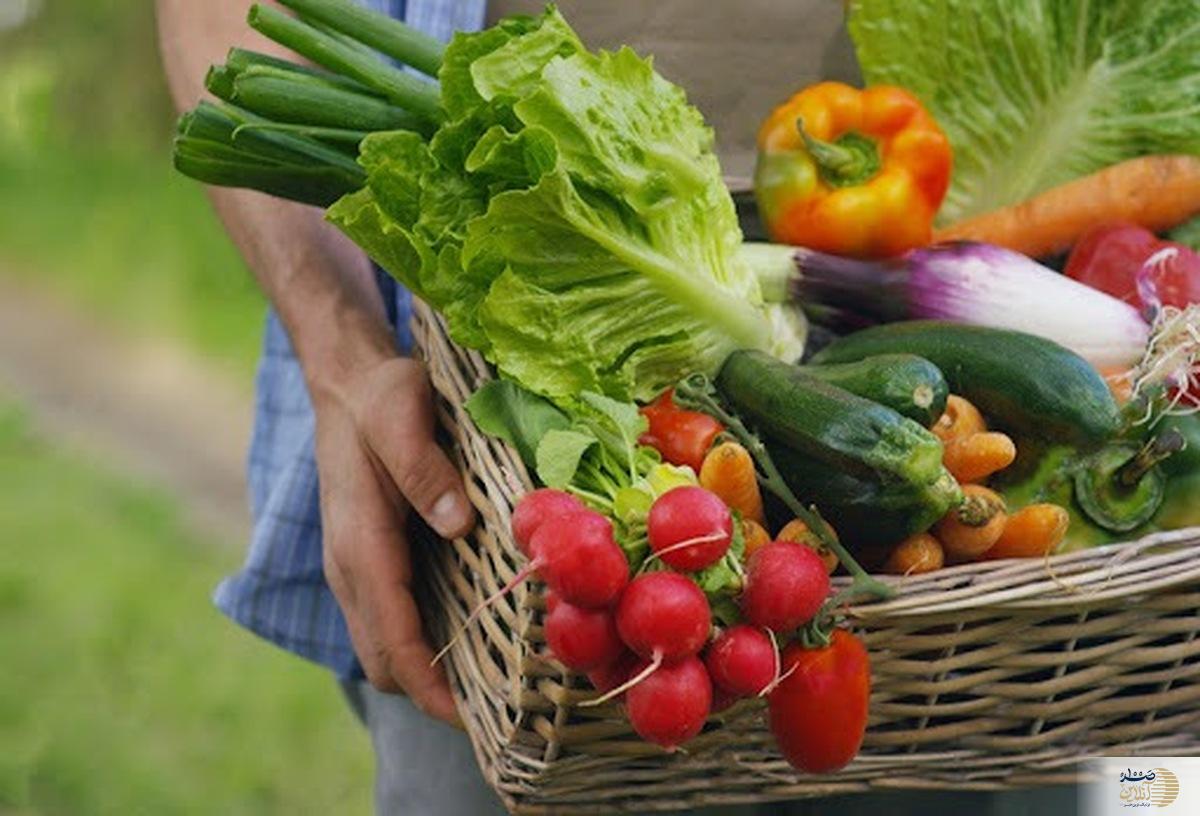 با این موادغذایی سالم ریه هایتان را فول انرژی بکنید