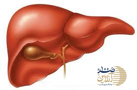 راز پنهان کبد چرب در سبد غذایی شماست