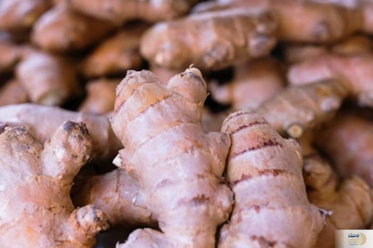 این خاصیت زنجبیل را تا الان نشنیده بودید