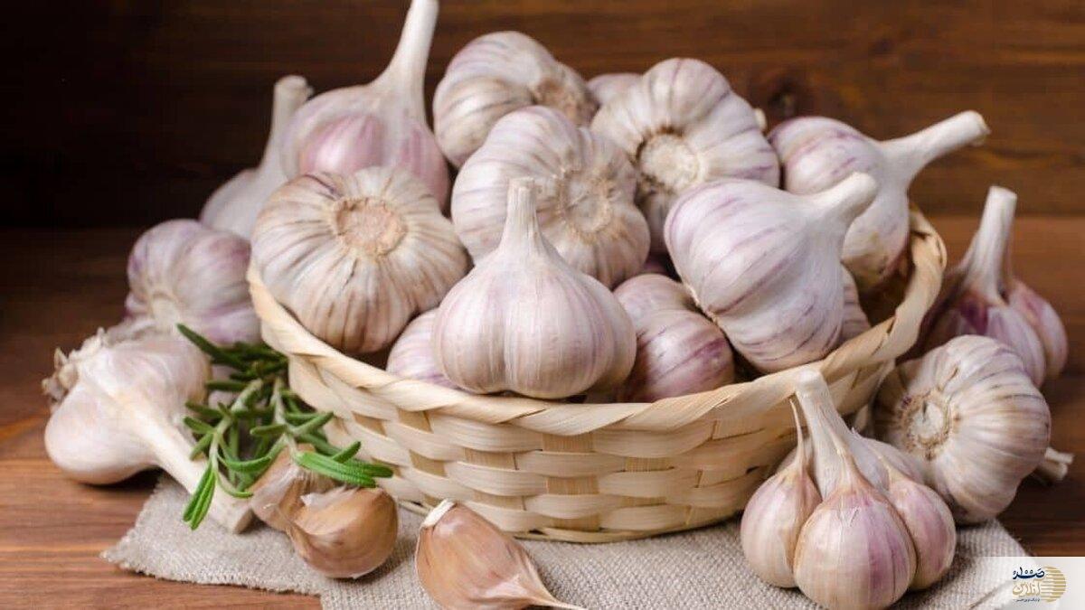 اگر سیر را به این روش نگهداری می کنید سخت در اشتباه هستید چون با جان خودتان بازی می کنید