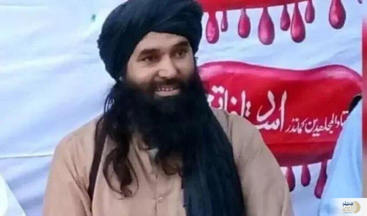 کشته شدن یک سرکرده ارشد طالبان پاکستان