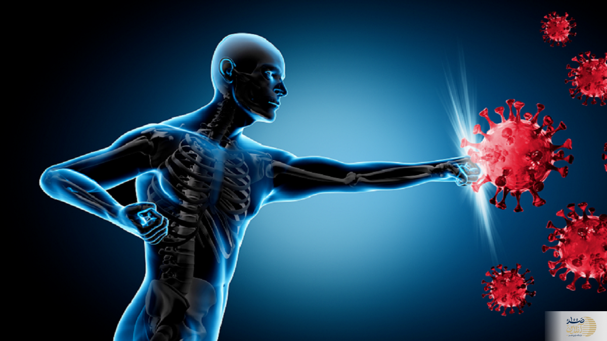 این عامل بلای سیستم ایمنی بدن شماست