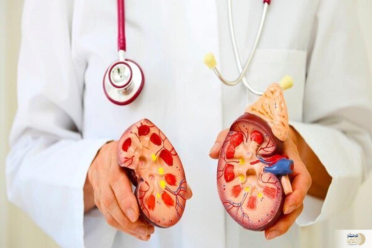 اگر کلیه های فول انرژی می خواهید این میوه ها و سبزیجات مختص شماست