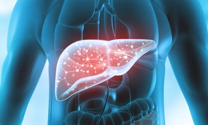 معجزه خیار در شب برای کبد چرب معجزه خیار در شب برای کبد چرب