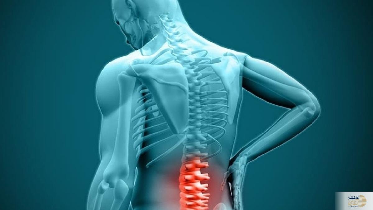 ویدیو  اگراین شغل ها را دارید منتظر دیسک کمر باشید