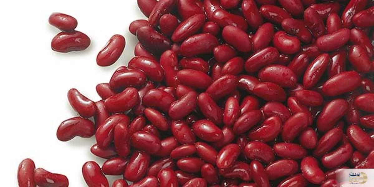 لوبیا، سلاحی قدرتمند و مغذی در جنگ با چاقی