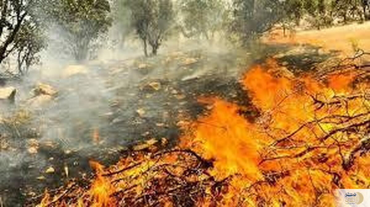 آتش‌سوزی گسترده در جنگل‌های الیت چالوس  عملیات ادامه دارد