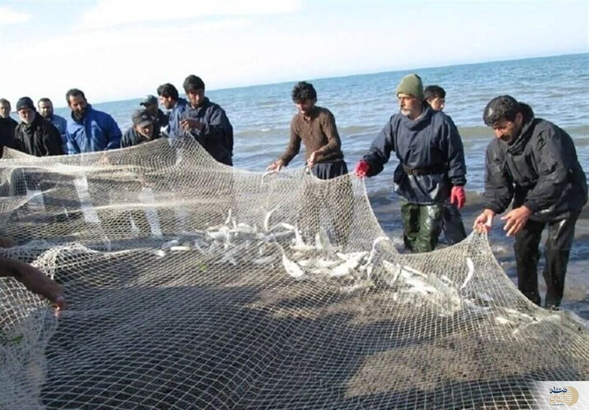 شناورهای متخلف صید غیرمجاز آبزیان توقیف شدند