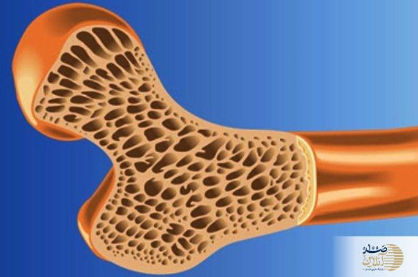 اگر کشک می‌خورید بخوانید !