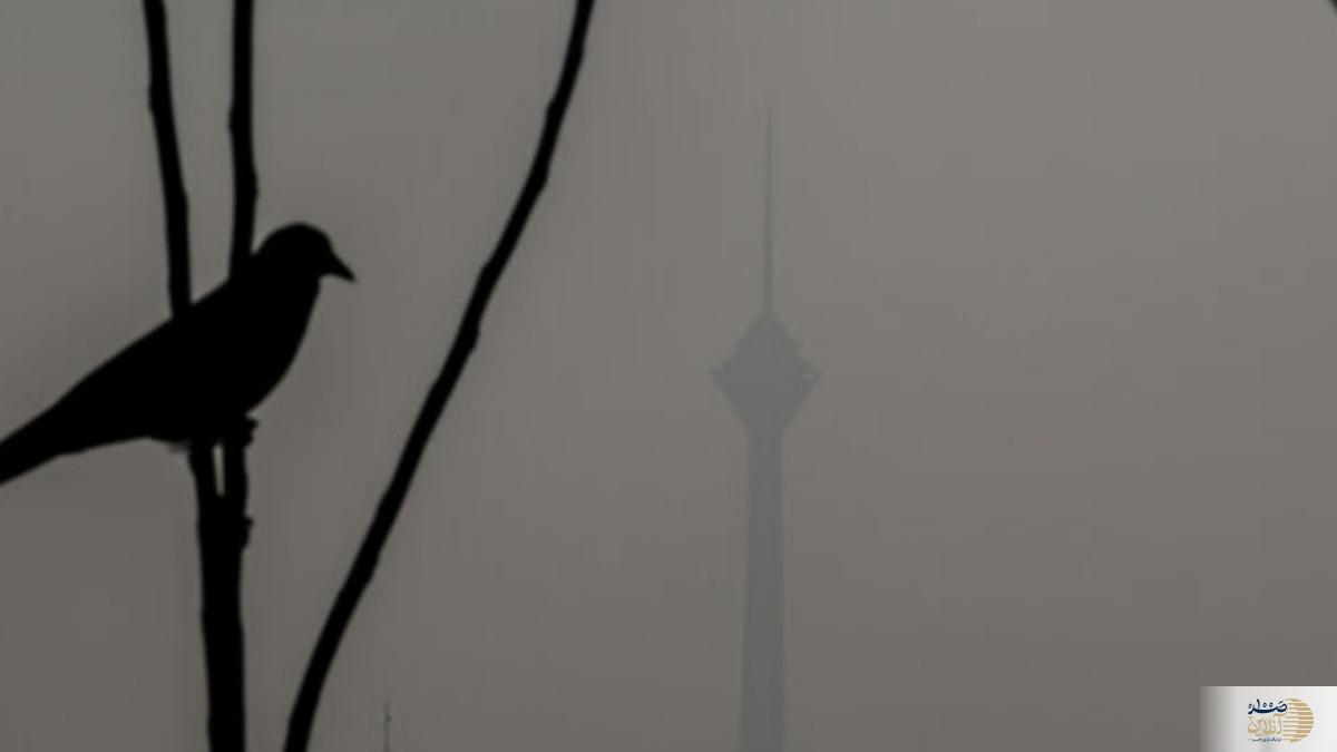 هوای تهران تا این تاریخ آلوده است  از خانه بیرون نروید