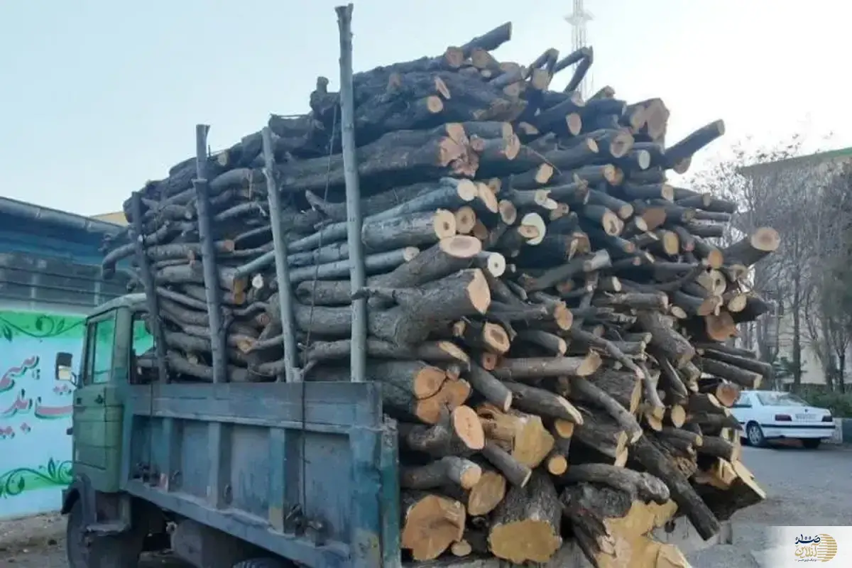 چهار تن هیزم جنگلی در اردبیل توقیف شد