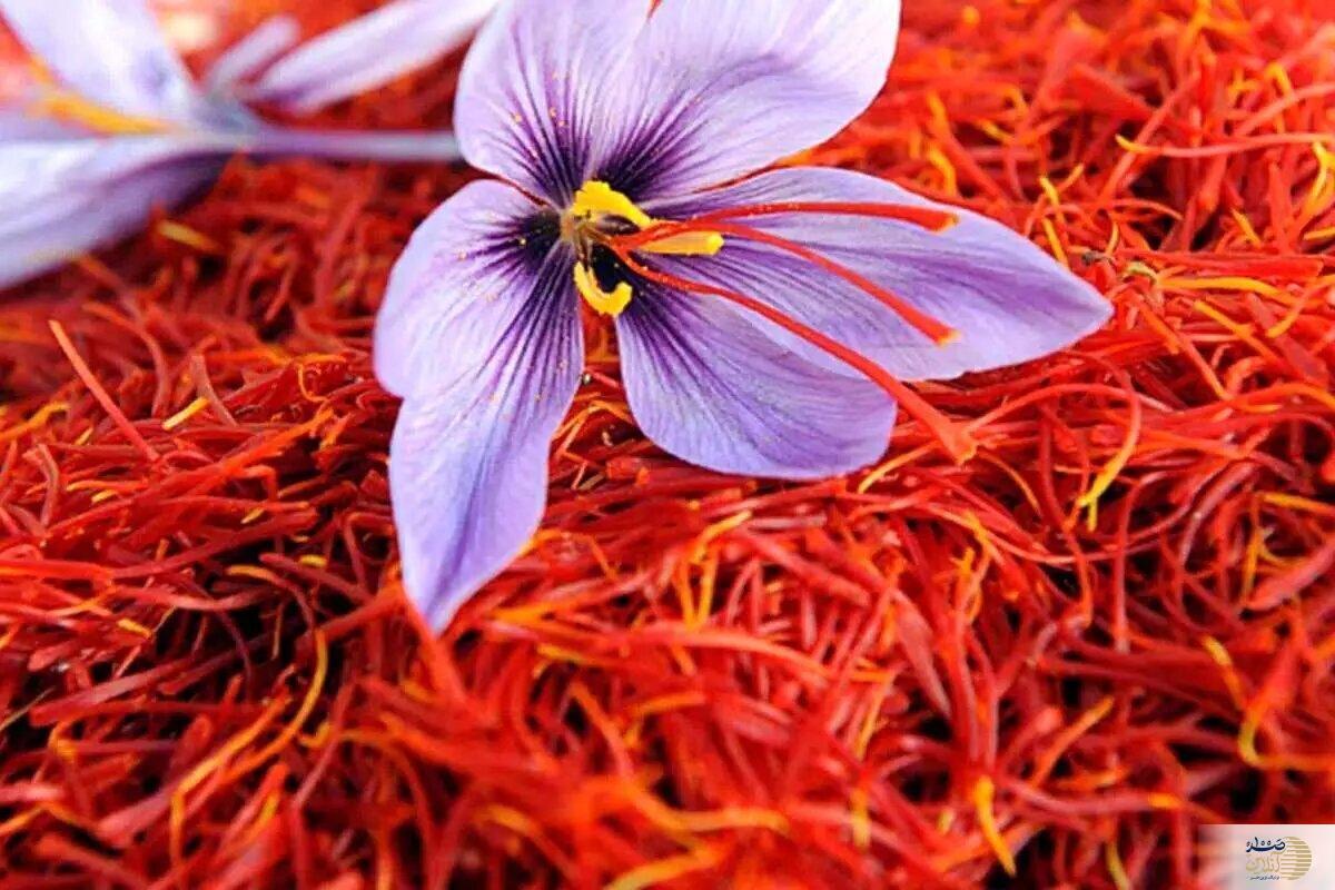 طلای زرد معجزه ای برای بدن شماست