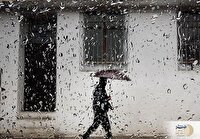 جنوب بوشهر زیر آب رفت؛ بارندگی سنگین موجب وقوع سیل شد