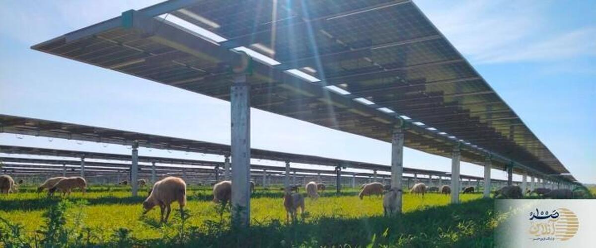 هشدار مازاد تولید، برنامه توسعهٔ خورشیدی هند را شوکه کرد