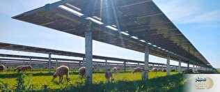 هشدار مازاد تولید، برنامه توسعهٔ خورشیدی هند را شوکه کرد