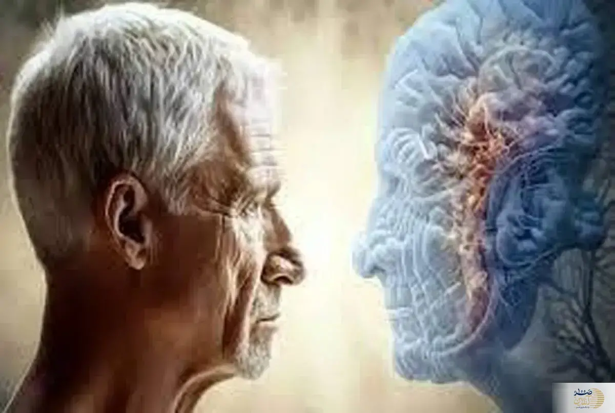 آلودگی هوا چه بلایی سر مغز شما می آورد؟