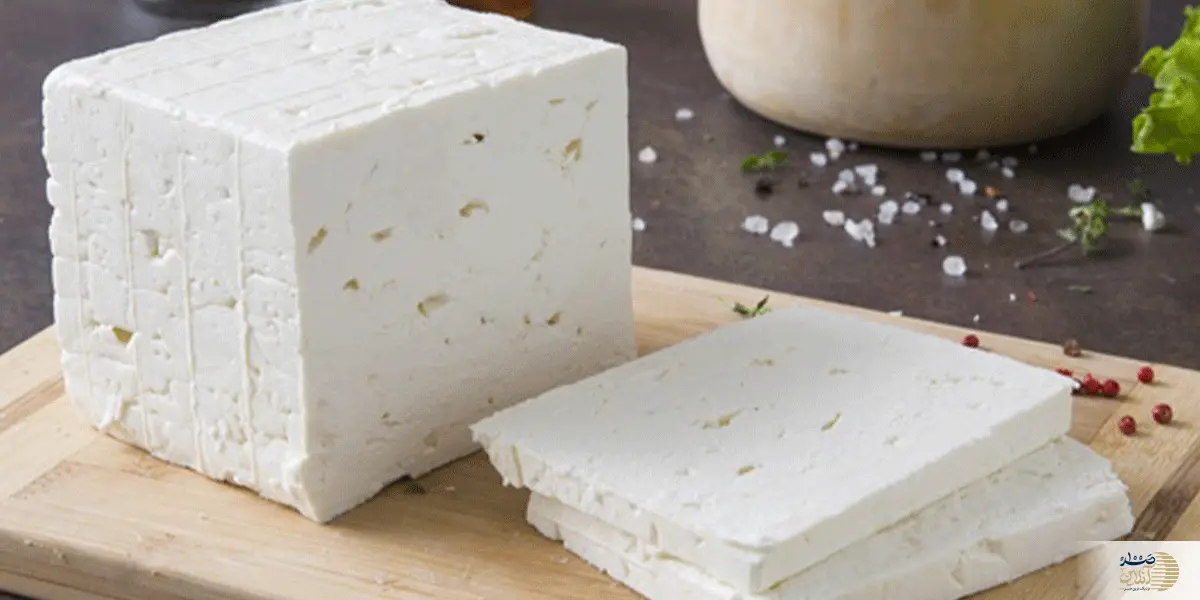 پنیر، کلید سلامتی شما  این دلایل را حتما بخوانید!