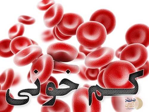 لوبیا سفید، گوشت بدون استخوانی با خواص اعجاب‌انگیز