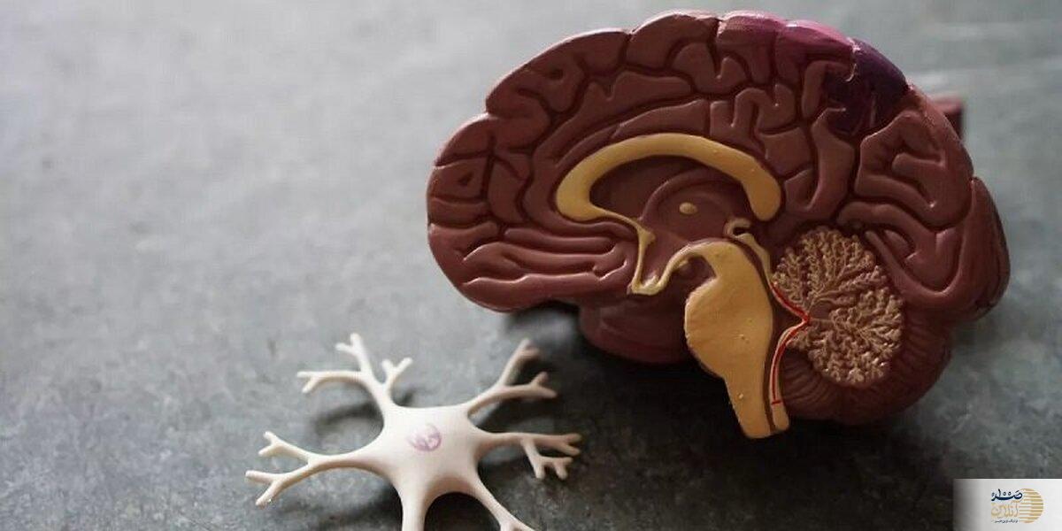 این علائم نشان دهنده بیماری کشنده است جدی بگیرید