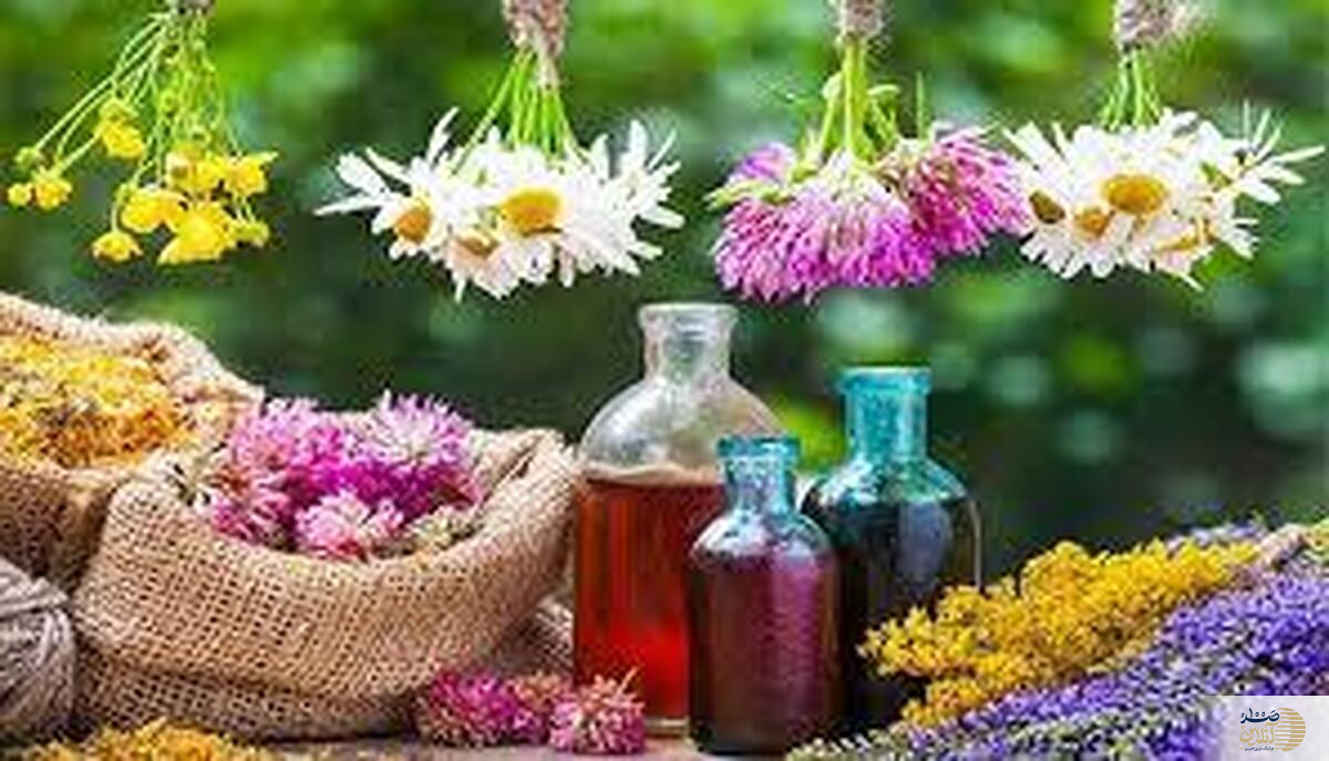 مراقب باشید! مصرف بی‌رویه مکمل‌های گیاهی و غذایی چه مشکلاتی به وجود می‌آورد؟