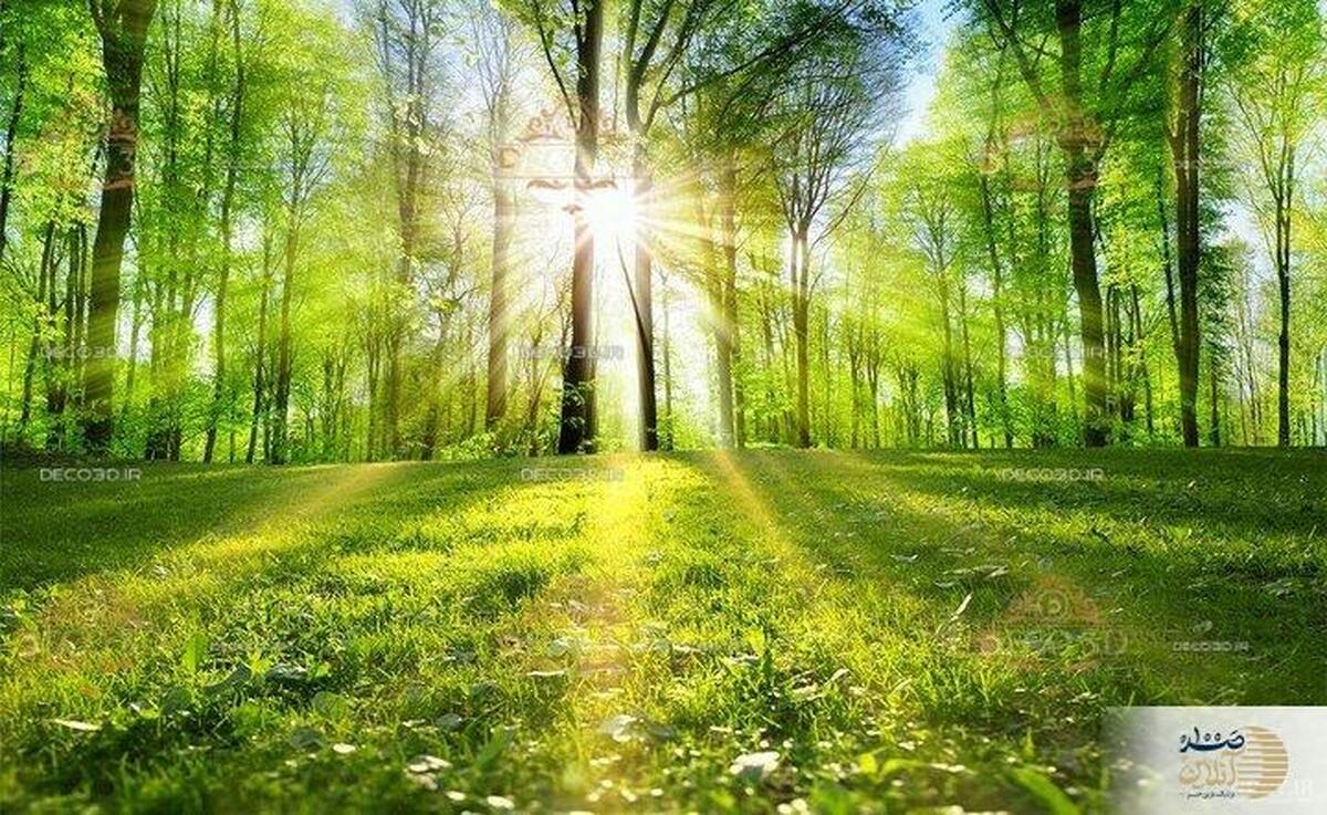 ماجرای نوری که ناگهان در بهشت می‌تابد و بهشتیان را از لذت بیهوش می‌کند