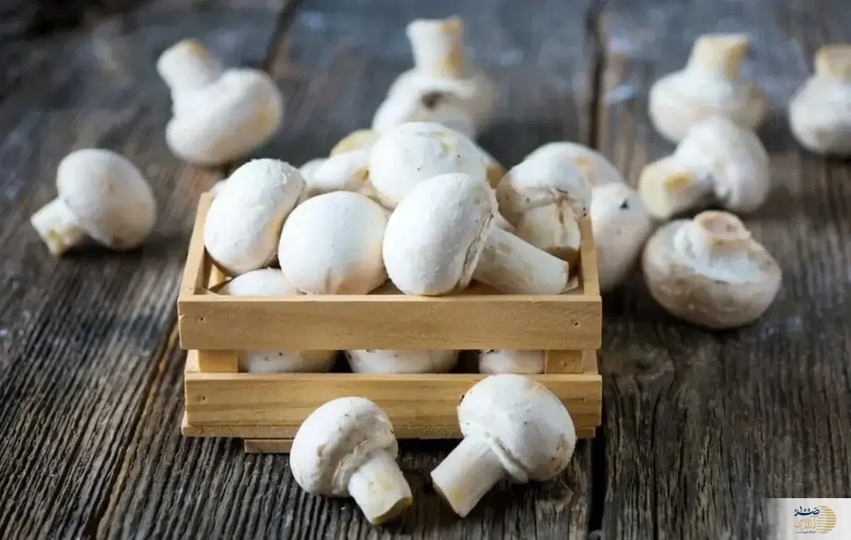 این موادغذایی سفید معجزه ای برای قلب شماست